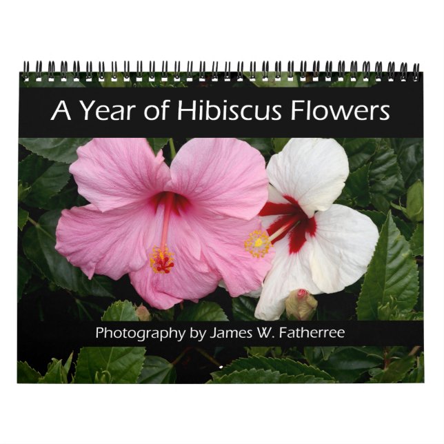 Calendrier mural des fleurs d'Hibiscus par J. Fath (Protection)