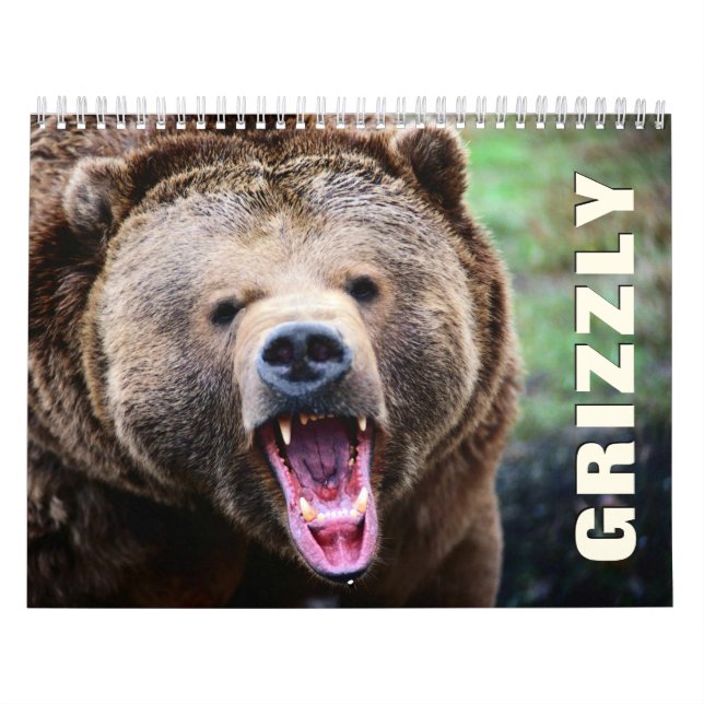 Calendrier mural des ours grizzlis (Protection)