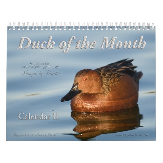 Calendrier mural des photos de canard 2026 (Protection)