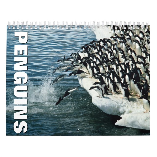 Calendrier mural des pingouins (Protection)