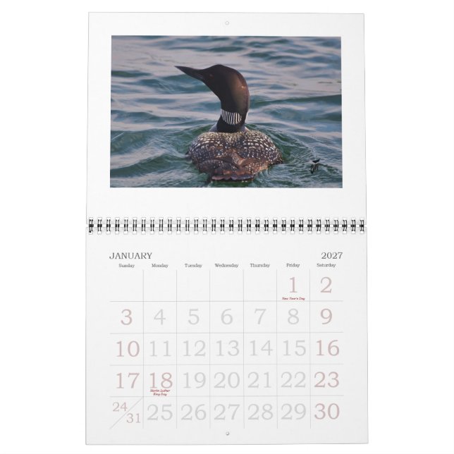 Calendrier Mural Dingues sur le Rideau (Jan 2027)