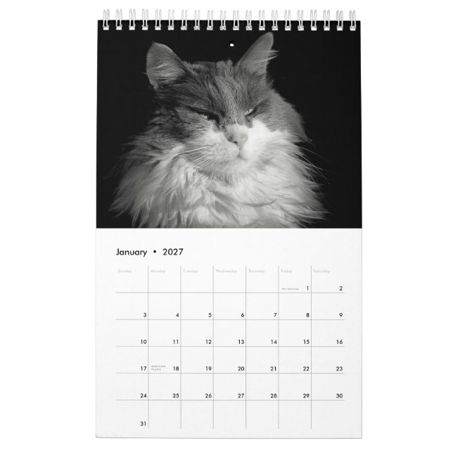 Calendrier Mural DJ's Cats One Page (Jan 2027)