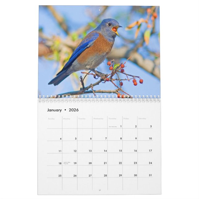 Calendrier mural d'oiseaux bleus (Jan 2026)