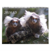 Douze singes