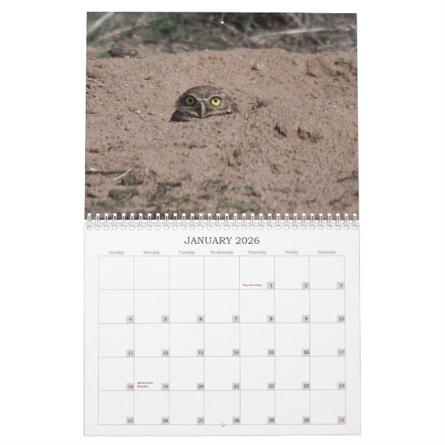 CALENDRIER MURAL DSC_2816, 2011 (Jan 2026)