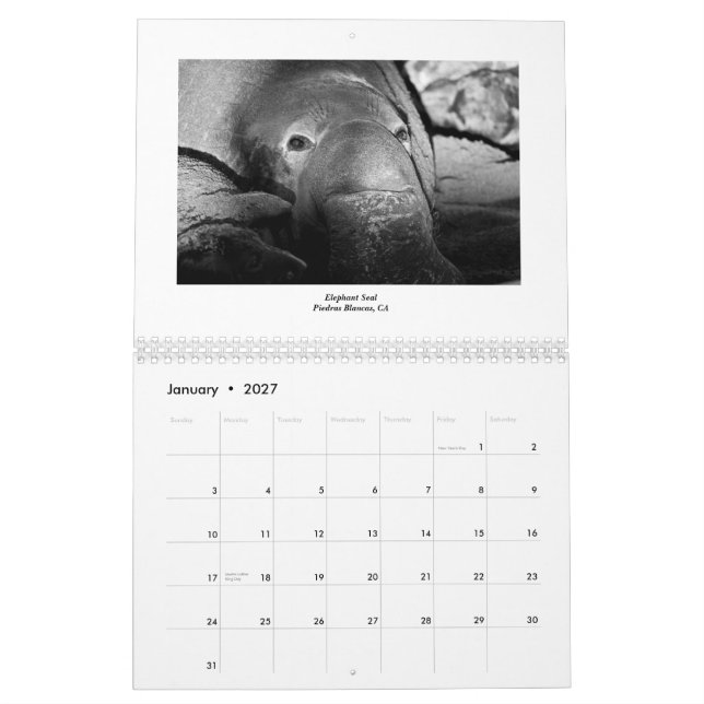 Calendrier Mural Espèce marine 2011 (Jan 2027)