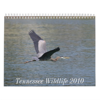 Calendrier Mural Faune 2010 du Tennessee
