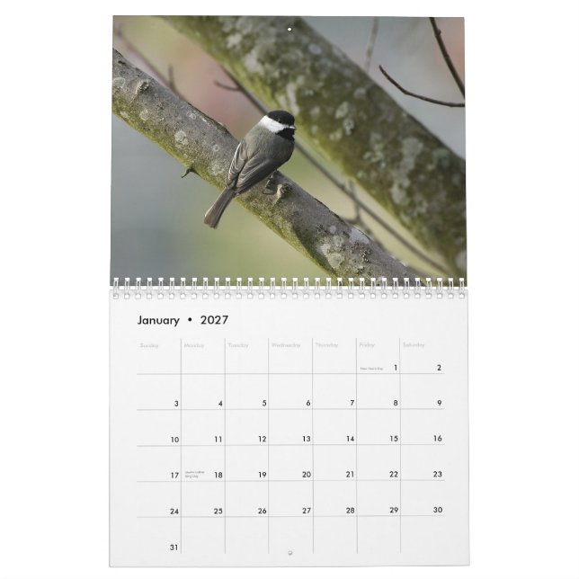 Calendrier Mural Faune 2010 du Tennessee (Jan 2027)