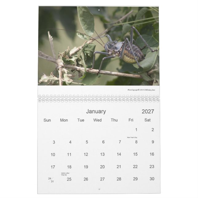 Calendrier Mural Faune 2011/12 de Mapungubwe NP RSA (Jan 2027)