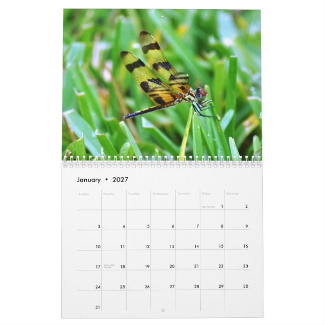 Calendrier Mural Faune de la Floride (Jan 2027)