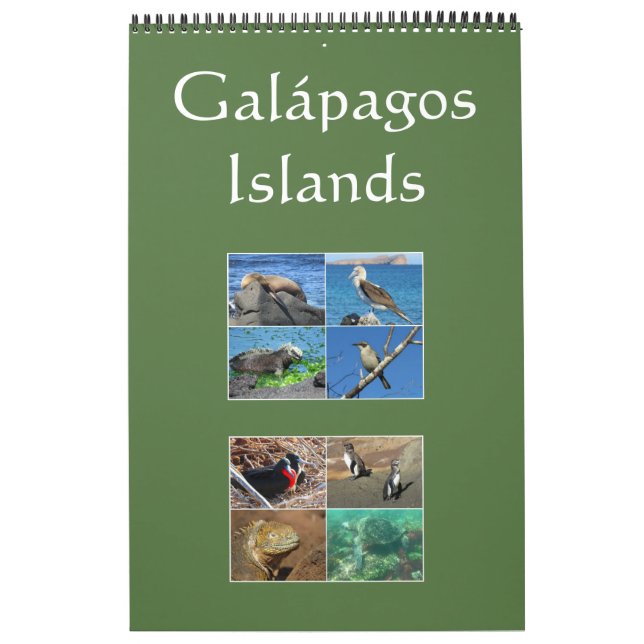 Calendrier Mural faune des îles Galapagos (Protection)