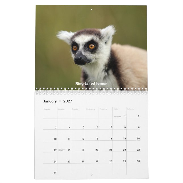 Calendrier Mural Faune du Madagascar (Jan 2027)