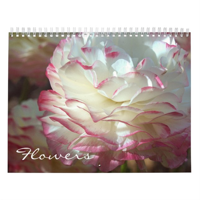 Calendrier Mural Fleurs (Protection)