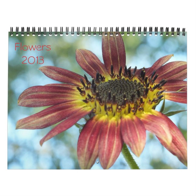 Calendrier Mural Fleurs 2013 Calender (Protection)