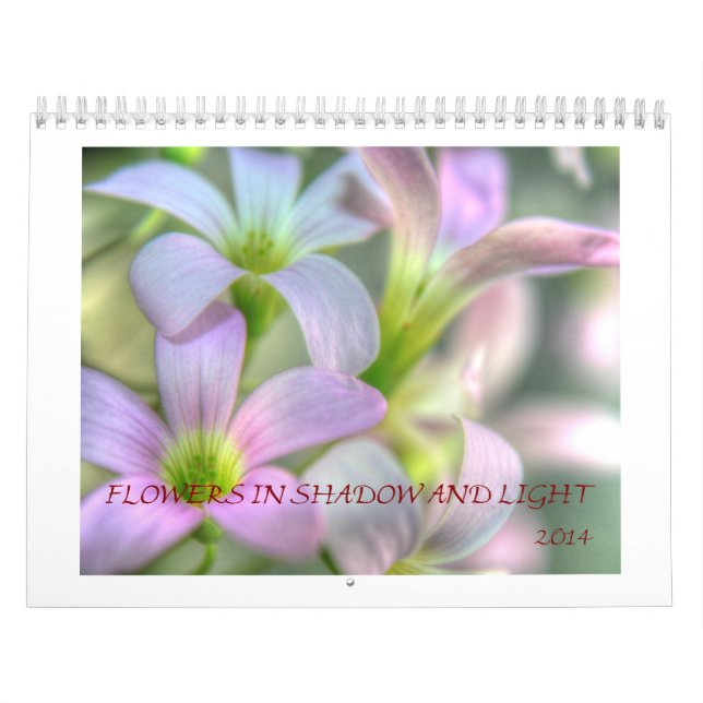 Calendrier Mural Fleurs dans les ombres et la lumière (Protection)