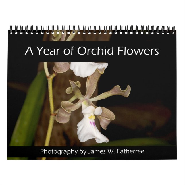 Calendrier mural Fleurs d'Orchidées par J. Fatherr (Protection)