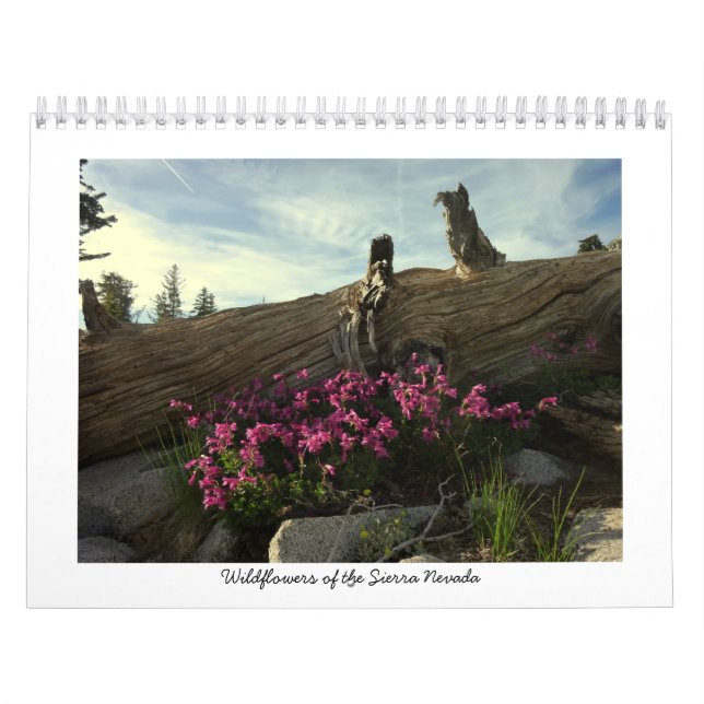 Calendrier Mural Fleurs sauvages de la sierra Nevada (Protection)