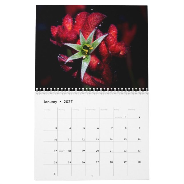 Calendrier Mural Fleurs sauvages de l'Australie (Jan 2027)