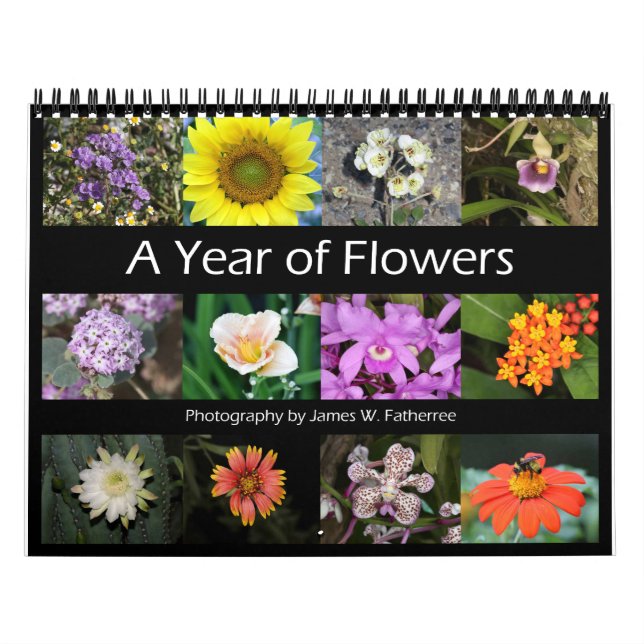 Calendrier mural Fleurs variées 5 de J.W. Fatherre (Protection)