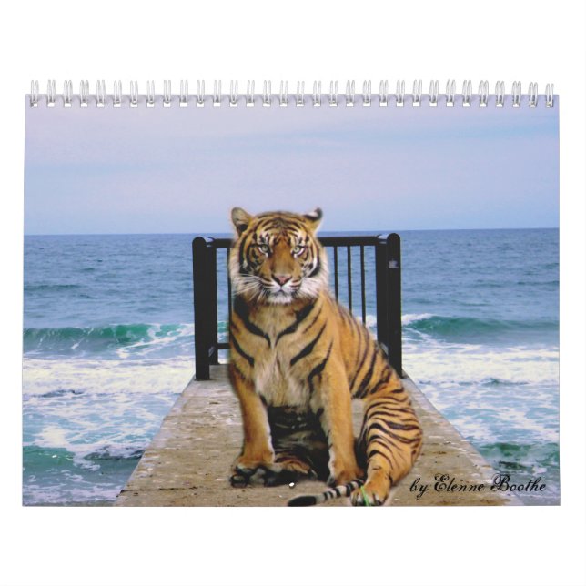 Calendrier Mural Focus & Force_2010 Calendrier-par Elenne Boothe (Protection)