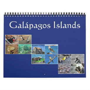 Calendrier Mural galapagos faune 2025