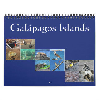 Calendrier Mural galapagos faune 2026