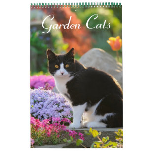Calendrier Mural Garden Cats - taille moyenne