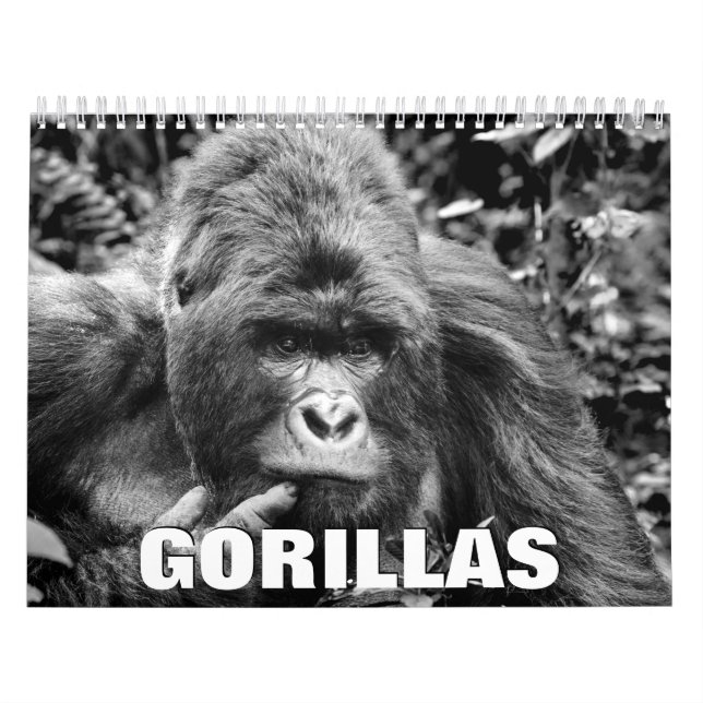 Calendrier mural Gorillas (Protection)