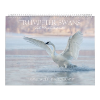 Calendrier mural grand format de luxe Cygne trompe