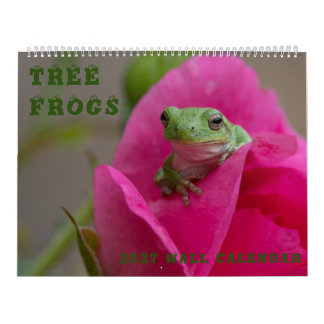 Calendrier mural Grenouille arboricole 14,25 x 11