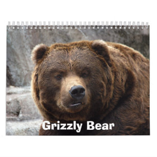 Calendrier Mural grizzly-bear-017, ours gris