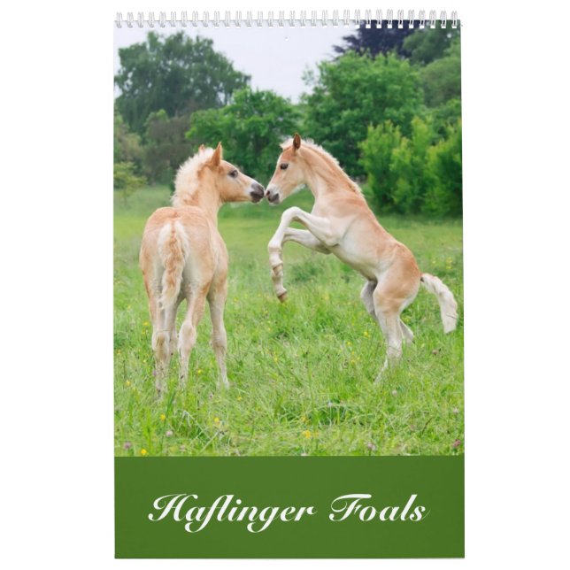 Calendrier Mural Haflinger pouline 2017 (Protection)
