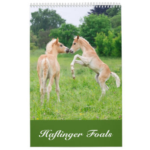 Calendrier Mural Haflinger pouline 2017