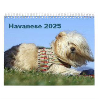 Calendrier mural Havanais 2025