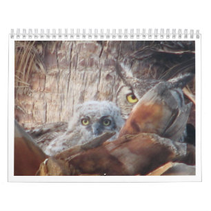 Calendrier Mural Hiboux de maman et de bébé dans un palmier