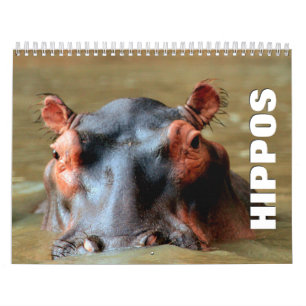 Calendrier mural Hippopotame