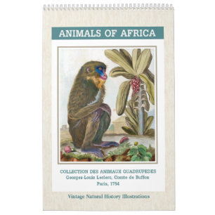 Calendrier Mural Illustrations d'animaux africains vintage 2027