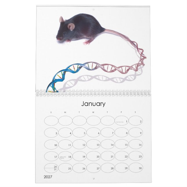 Calendrier Mural Images du projet sur le génome humain (Jan 2027)