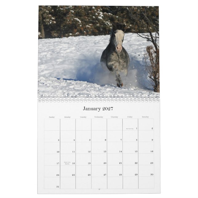 Calendrier Mural Images équines 2011 (Jan 2027)