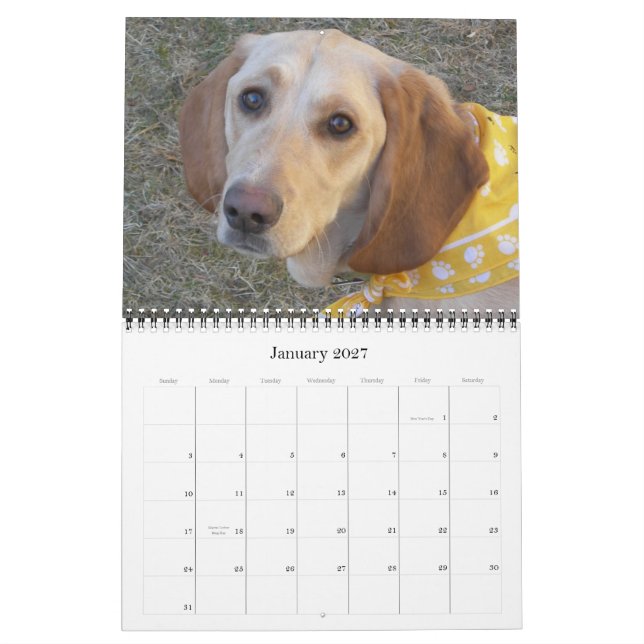 Calendrier Mural Imbécile le chien 2009 de merveille (Jan 2027)