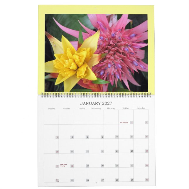 CALENDRIER MURAL IMG_1311, CALENDER 2008 (Jan 2027)