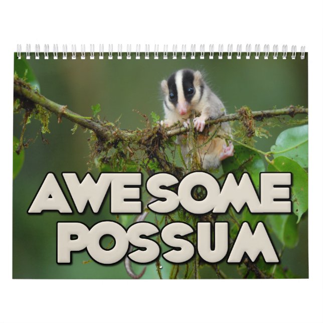 Calendrier mural impressionnant d'opossum (Protection)