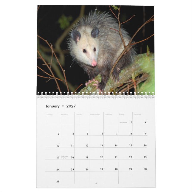 Calendrier mural impressionnant d'opossum (Jan 2027)
