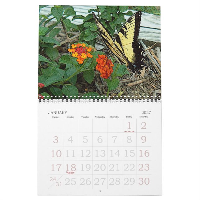 Calendrier Mural Jardin de Donna 2007 (Jan 2027)