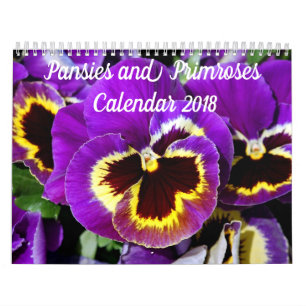 Calendrier Mural Jolies culottes et primroses