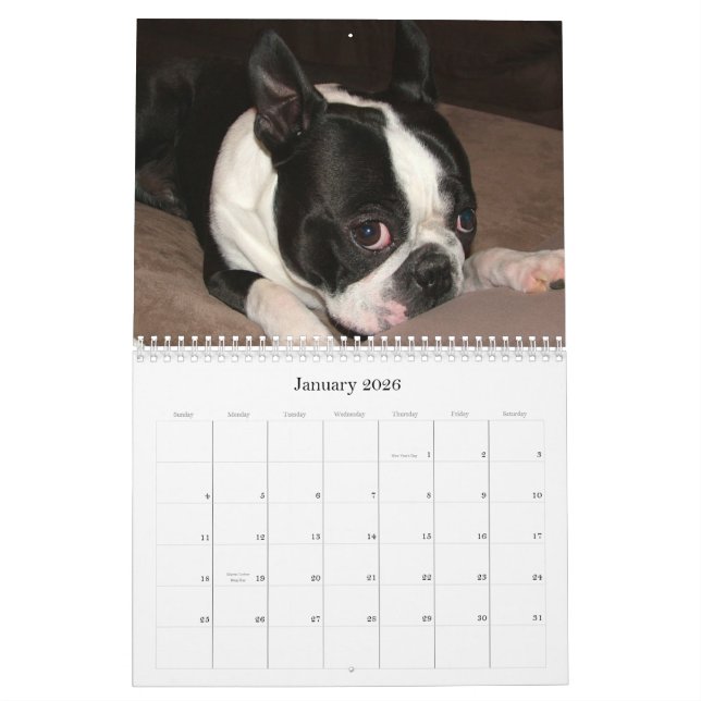 Calendrier Mural Joueur de pipeau et Pinocchio 2009 (Jan 2026)