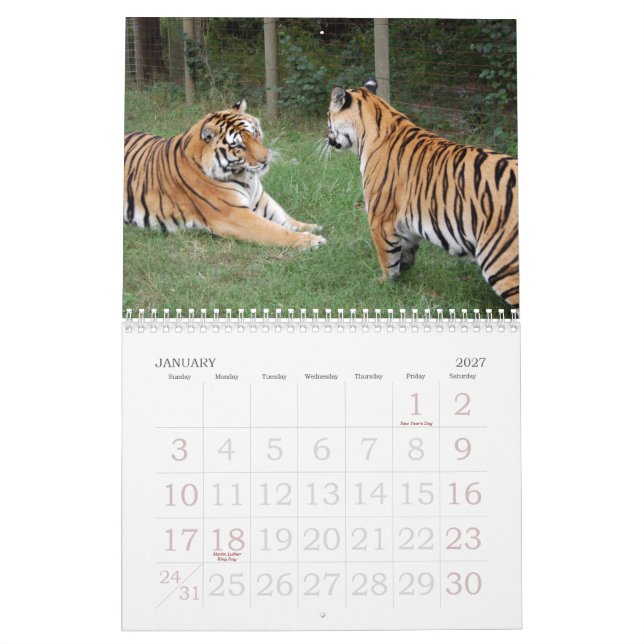 Calendrier Mural khan-n-china010, Shere Khan et la Chine Dollthe B… (Jan 2027)