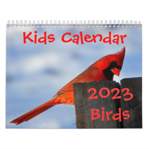 Calendrier Mural Kids Calendar - 2023 - Birds