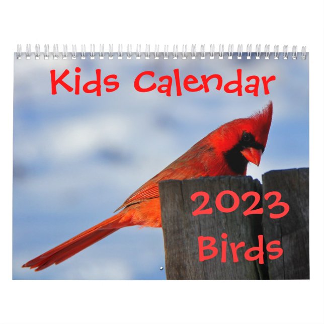 Calendrier Mural Kids Calendar - 2023 - Birds (Protection)