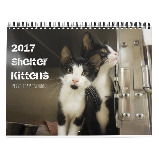 Calendrier Mural Kittens 2017 (Protection)